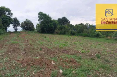 Terreno à venda, 18400 m² por r$ 4.900.000,00 - vila rivabem - campo largo/pr