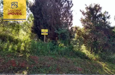Terreno à venda, 780 m² por r$ 267.300,00 - jardim três rios - campo largo/pr