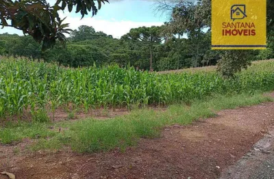 Terreno à venda, 12100 m² por r$ 800.000,00 - rondinha - campo largo/pr