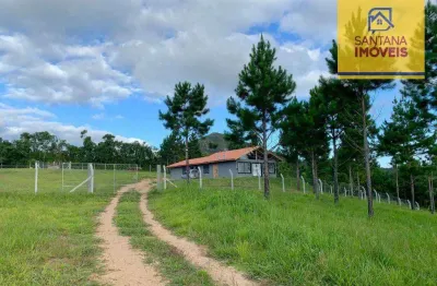 Chácara com 3 dormitórios à venda, 24200 m² por r$ 1.350.000,00 - felpudo - campo largo/pr
