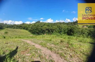 Chácara à venda, 20000 m² por r$ 295.000,00 - bateias - campo largo/pr