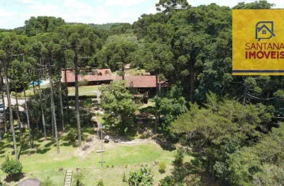 Chácara com 3 dormitórios à venda, 168000 m² por r$ 7.500.000,00 - salgadinho - campo largo/pr