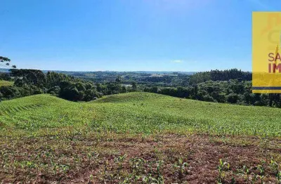 Chácara à venda, 20639 m² por r$ 350.000,00 - rodeiozinho - balsa nova/pr