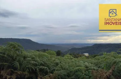 Chácara à venda, 48000 m² por r$ 390.000,00 - zona rural - campo largo/pr