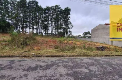 Terreno à venda, 420 m² por r$ 280.000,00 - jardim são vicente - campo largo/pr