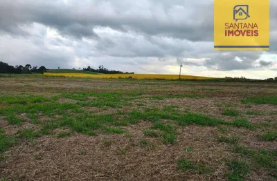 Terreno à venda, 36905 m² por r$ 1.150.000,00 - são caetano - balsa nova/pr