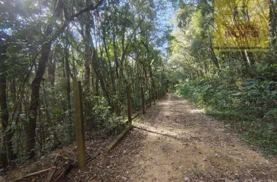 Terreno à venda, 240000 m² por r$ 2.800.000,00 - itaqui de cima - campo largo/pr