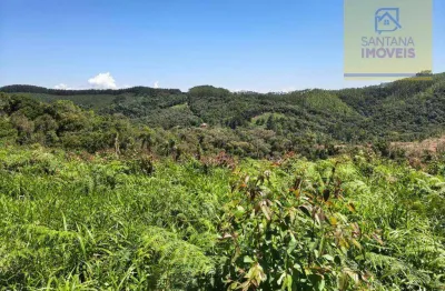 Chácara à venda, 159600 m² por r$ 600.000,00 - três córregos - campo largo/pr