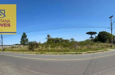 Terreno à venda, 20561 m² por r$ 4.500.000,00 - jardim social - campo largo/pr