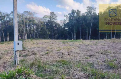 Terreno à venda, 3000 m² por r$ 795.000,00 - loteamento ouro verde i - campo largo/pr