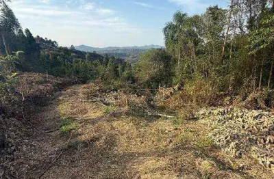 Área à venda, 20000 m² por r$ 260.000,00 - itaqui de cima - campo largo/pr