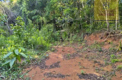 Área à venda, 63180 m² por r$ 700.000 - bateias - campo largo/pr