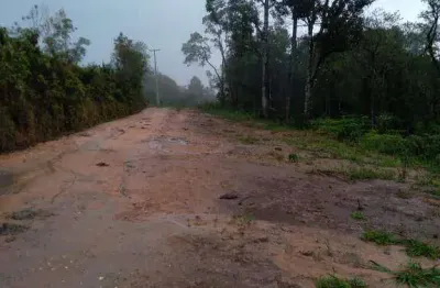 Chácara com 1 dormitório à venda, 114720 m² por r$ 370.000,00 - são silvestre - campo largo/pr