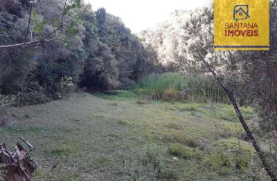 Chácara à venda, 20000 m² por r$ 790.000,00 - jardim florestal - campo largo/pr