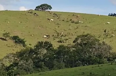 Chácara / sítio com 3 quartos à venda na Zona Rural, Pilar do Sul 