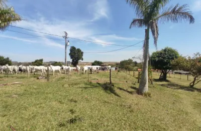 Chácara / sítio com 4 quartos à venda em Cercadinho, Alambari 