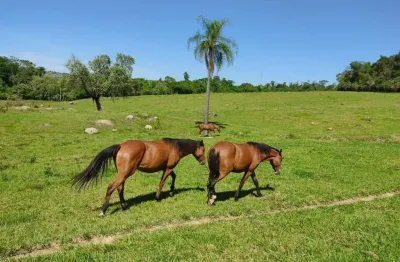 Chácara / sítio com 3 quartos à venda no Ribeirãozinho, Alambari 