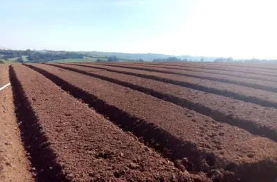 Chácara / sítio com 3 quartos à venda no Paineiras, Piedade 