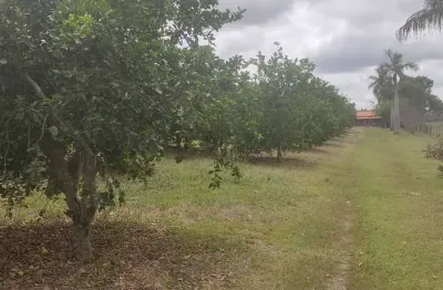 Chácara / sítio com 3 quartos à venda em Cercadinho, Capela do Alto 