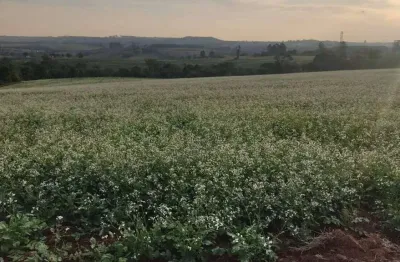 Fazenda à venda no Morro do Alto, Itapetininga 
