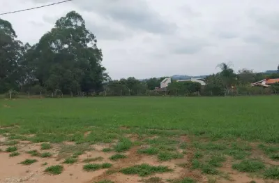 Terreno à venda na Fazenda Floresta, Alambari 