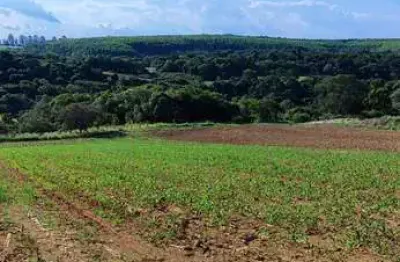 Chácara / sítio com 4 quartos à venda na Zona Rural, Piedade 