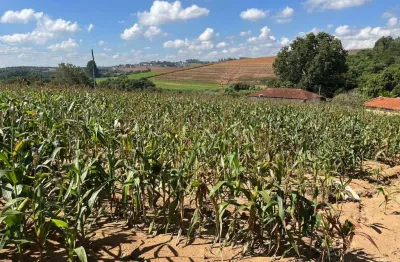 Chácara / sítio com 1 quarto à venda na Vila Moraes, Piedade 