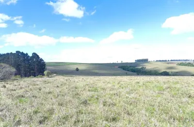 Fazenda à venda no Centro, Itaporanga 