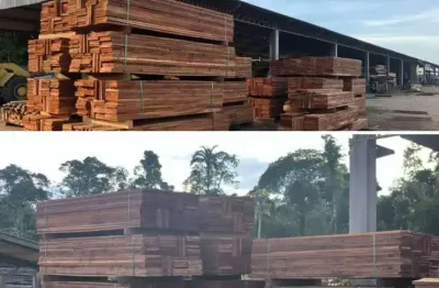 Chácara / sítio à venda no Conselvan, Aripuanã 