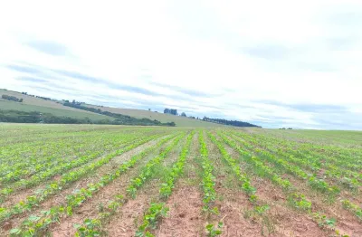 Chácara / sítio com 2 quartos à venda no Centro, Itaporanga 