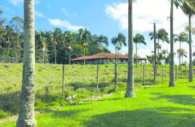 Chácara / sítio com 6 quartos à venda no Centro, Riversul 