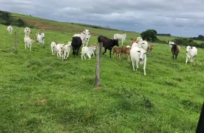 Chácara / sítio com 3 quartos à venda no Aterradinho, Alambari 