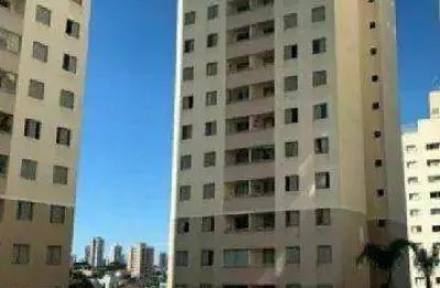 Apartamento com 2 quartos à venda em Imirim, São Paulo 