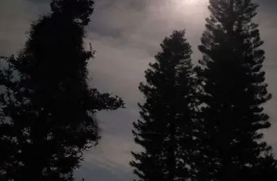 More e trabalhe praticamente dentro são paulo e desfrute da natureza magnificamente