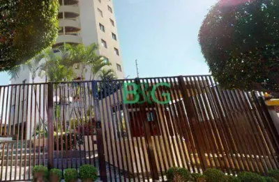 Apartamento com 2 dormitórios à venda, 62 m² por r$ 450.000,00 - vila matilde - são paulo/sp