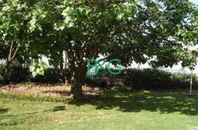 Terreno à venda, 600 m² por r$ 9.990.000,00 - sumarezinho - são paulo/sp