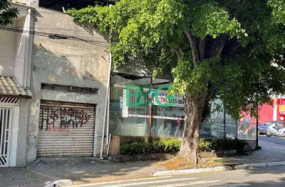 Prédio à venda, 280 m² por r$ 1.880.000,00 - vila matilde - são paulo/sp