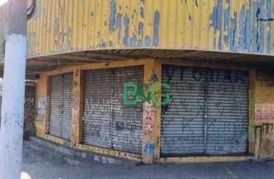 Prédio à venda, 1000 m² por r$ 3.710.000,00 - jardim santa terezinha - são paulo/sp
