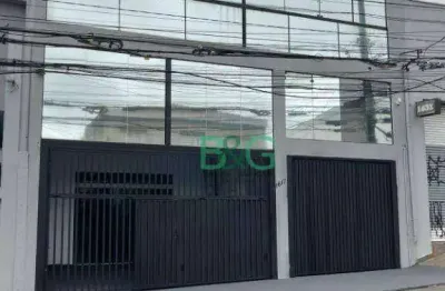 Galpão para alugar, 256 m² por r$ 18.500,00/mês - jardim santo alberto - santo andré/sp