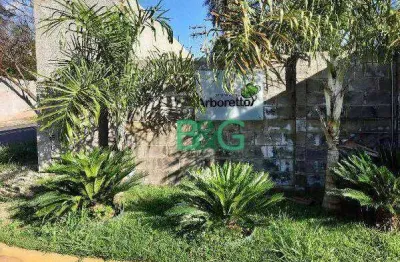 Apartamento à venda, 52 m² por r$ 126.745,51 - jardim maria rosa - araras/sp