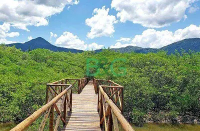 Terreno à venda, 500 m² por r$ 104.500,00 - estância balneária garça vermelha - peruíbe/sp