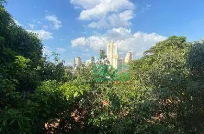 Apartamento com 2 dormitórios à venda, 64 m² por r$ 330.000 - parque mandaqui - são paulo/sp