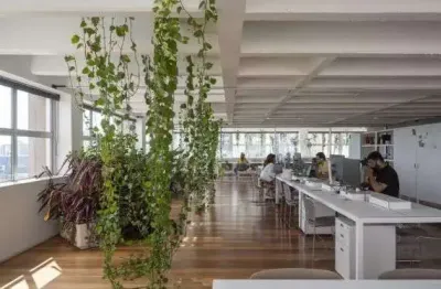 Conjunto para alugar, 210 m² por r$ 36.146/mês - jardins - são paulo/sp