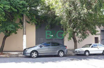Galpão à venda, 805 m² por r$ 7.720.000,00 - cambuci - são paulo/sp