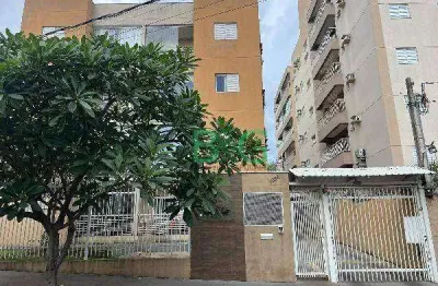 Apartamento à venda, 60 m² por r$ 141.739,21 - jardim zara - ribeirão preto/sp