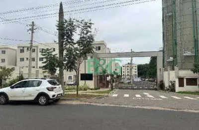 Apartamento à venda, 43 m² por r$ 121.800,00 - jardim ouro branco - ribeirão preto/sp
