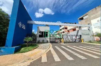 Apartamento com 2 dormitórios à venda, 39 m² por r$ 132.370 - jardim dos ipês - sumaré/são paulo