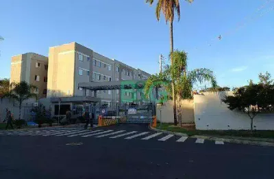 Apartamento à venda, 43 m² por r$ 136.537,52 - jardim das palmeiras - ribeirão preto/sp