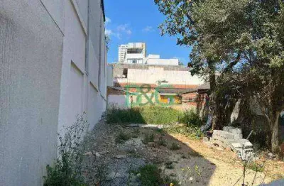 Terreno à venda, 350 m² por r$ 920.000 - vila ernesto - são paulo/sp