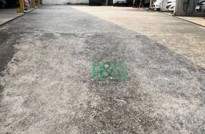 Galpão para alugar, 750 m² por r$ 16.990,00/mês - chácara inglesa - são paulo/sp